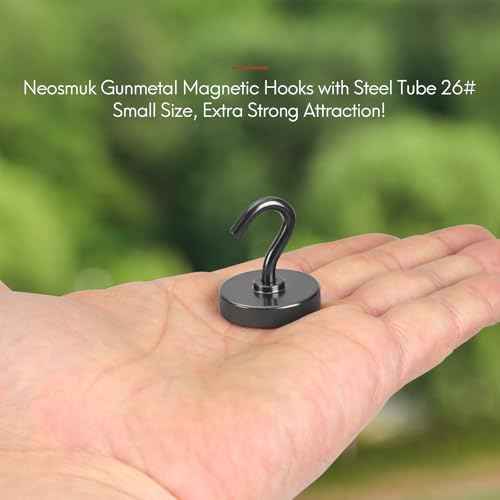 Magnetic Hooks (10 Count)