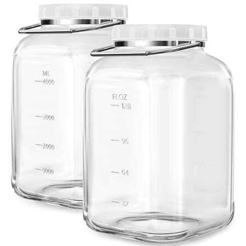 1.5 Gallon 5700 ML Glass Jar with Lid (2 Count)