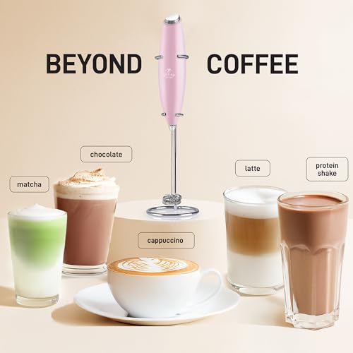 Powerful Double Whisk Milk Frother Handheld