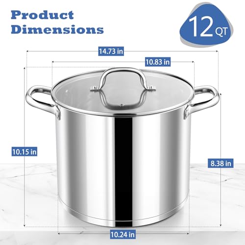 12 QT Stainless Steel Stock Pot with Lid