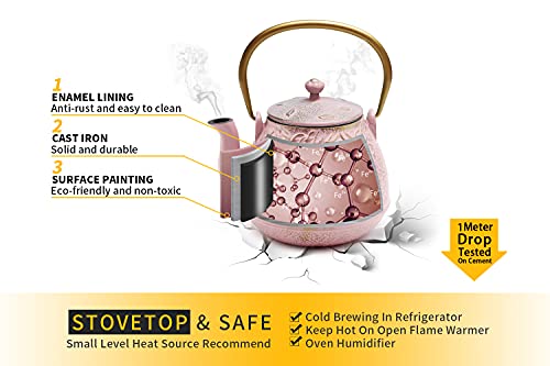 Japanese Cast Iron Teapot with Infuser
