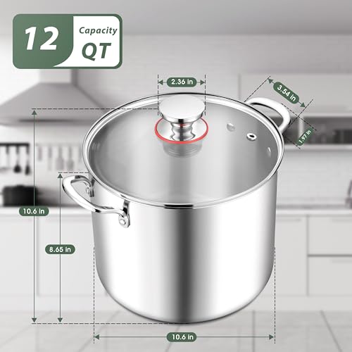 12 Quart 18 10 Stainless Steel Stock Pot with Lid