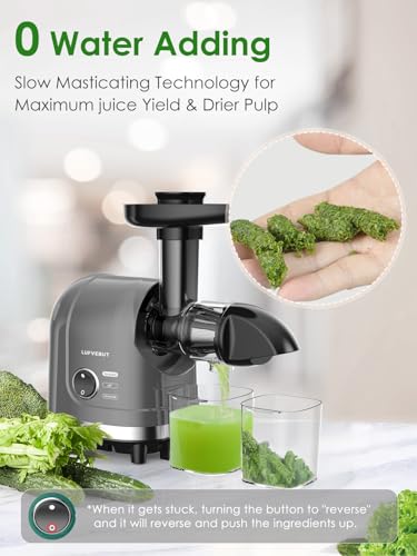 Masticating Juicer Machine 200W Slow Cold Press Extractor for Veggie