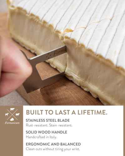 Professional Soft Cheese Knife