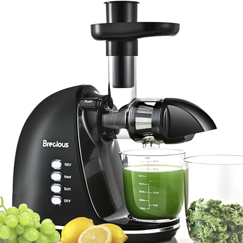 Slow Masticating Juicer