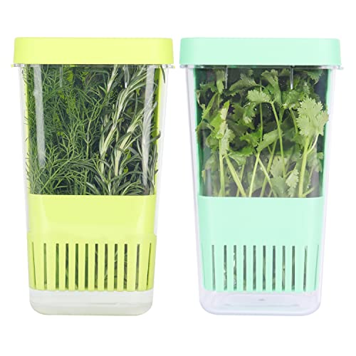2 Pack Fresh Herb Keeper for Refrigerator (2 Count)