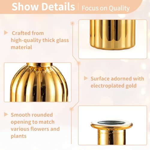 Gold Glass Bud Vases (6 Count)