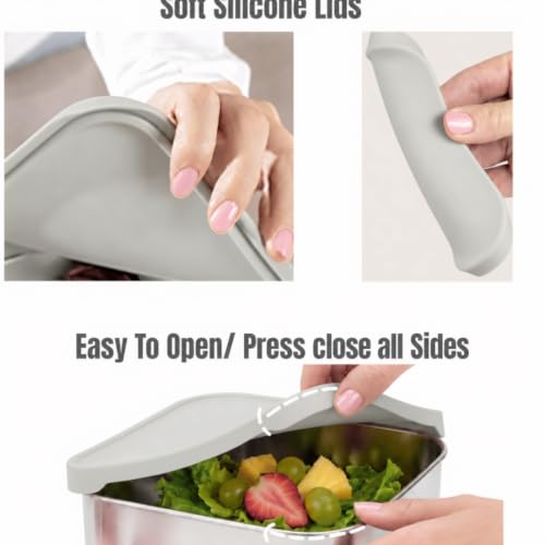 Flexibento 40 OZ Leak Proof Stainless Steel Lunch Box