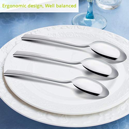 Dinner Spoons Set of 12 (12 Count)