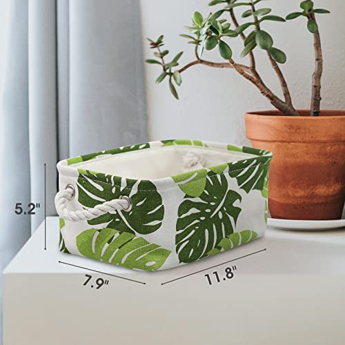 Organization and Storage Basket for Shelves (6 Count)