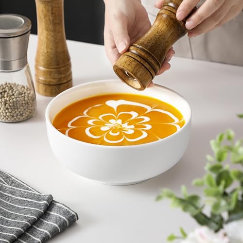 Salad Soup Bowls Set of 2 (2 Count)