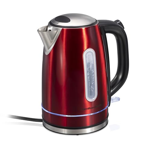 Electric Tea Kettle
