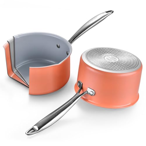 3.0 Quart Stainless Steel Pot Saucepan with Glass Strainer Lid