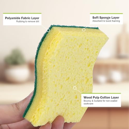 Sponges Kitchen (12 Count)