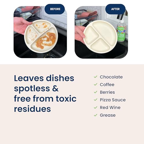 Non Toxic Dish Soap (9 Fl Oz)