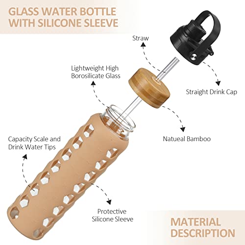 Glass Water Bottle