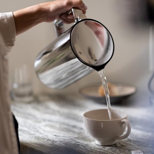 Kettle Electric Stainless Steel Tea Kettle 1.2L