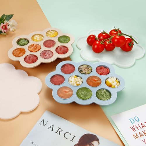 2 Pack Baby Food Freezer Tray with Lids (2 Count)