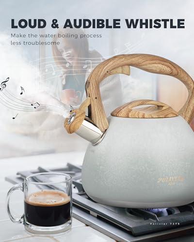 POLIVIAR Tea Kettle
