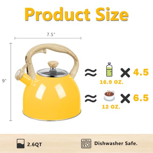 Whistling Tea Kettle for Stove Top