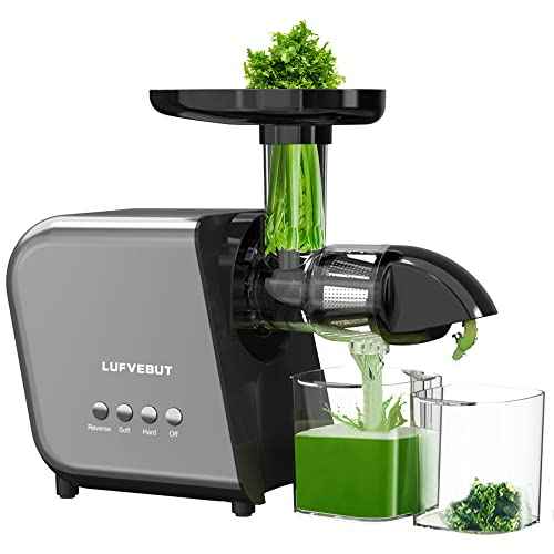 Cold Press Masticating Juicer 250W Slow Extractor for Whole Celery & Carort