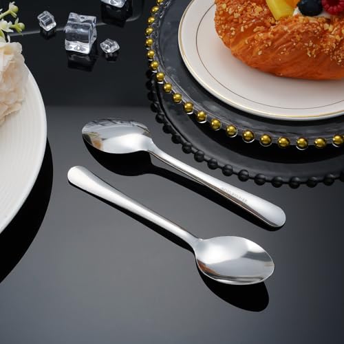 Windsor 60 Pcs Stainless Steel Dinner Spoons (60 Count)