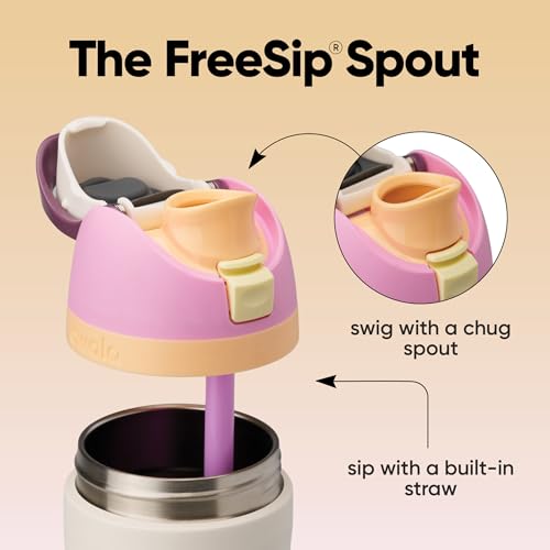 FreeSip Stainless Steel Water Bottle 24 oz Daybreak