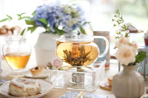 Kyoto 2-in-1 Tea Kettle/Tea Maker – Heatproof Glass Teapot with Removable Loose Tea Filter – Tea Connoisseur's Choice