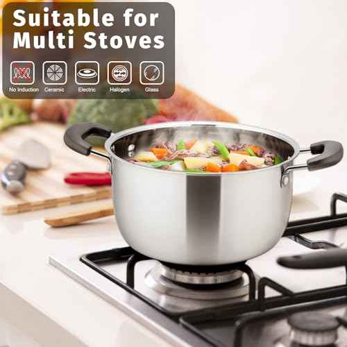 6 Qt Stockpot with Lid