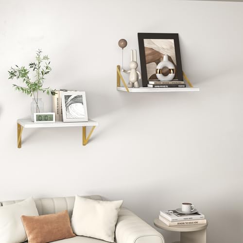 16W x 12D Deep Floating Shelves Set of 2 White & Gold (2 Count)
