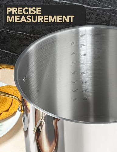 Stainless Steel Stock Pot with Lid