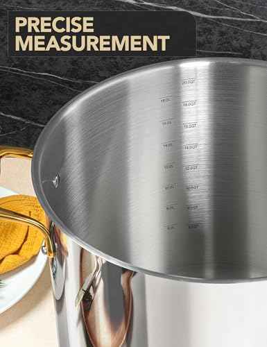 Stainless Steel Stock Pot