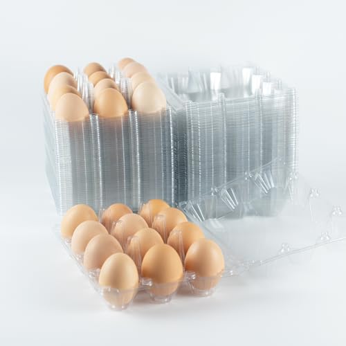 48 Pack Egg Cartons Cheap Bulk 12 Count