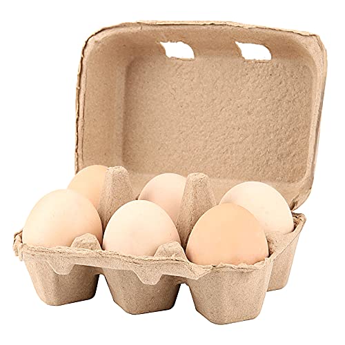 40 Pack 6 Count Egg Cartons (40 Count)