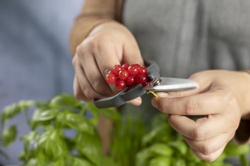 Kitchen Shears Compact