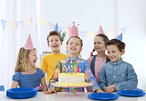 Sturdy Dark Blue Plastic Plates 9" Party Plates 100 Pcs (100 Count)