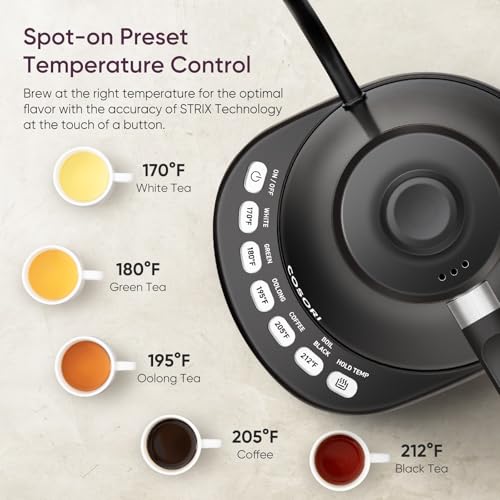 Gooseneck Electric Kettle with Temperature Control