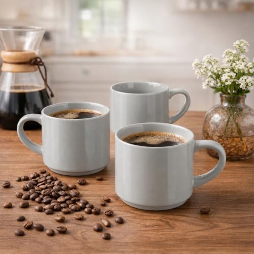 14 OZ Coffee Mugs Set of 6 (6 Count)