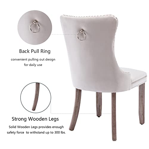 Beige Velvet Dining Chairs Set of 6 (6 Count)