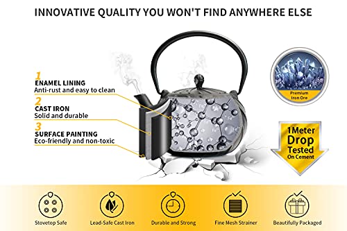 Tea Kettle TOPTIER Japanese Cast Iron Teapot with Infuser