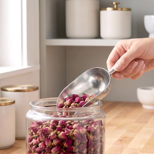 Elsa - 24-Ounce Aluminum Ice Scoops (Set of 2), Cast Aluminum Utility Scoops, Food-Grade, Good for Home and Commercial Use, NOT Dishwasher-Safe, Hand-Wash Recommended (2 Count)