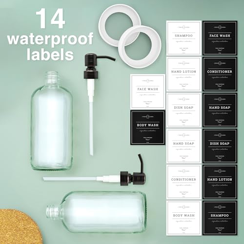 Clear Glass Soap Dispenser (2 Count)