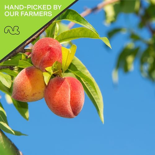 Dried California Peaches (80 Ounce)