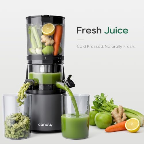 3-in-1 Cold Press Juicer C16, Makes Juice & Sorbet & Nut Milk