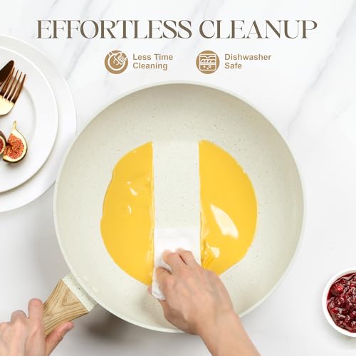 12 Inch Wok Pan with Lid