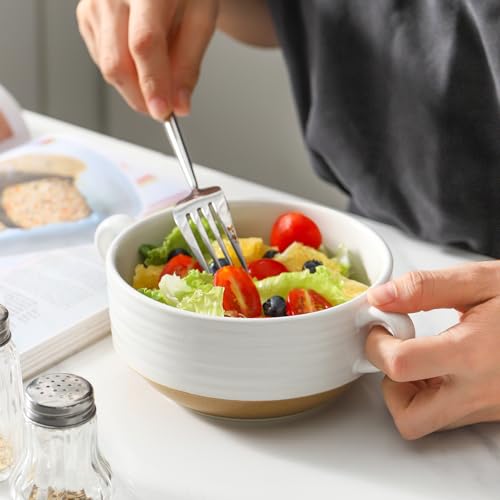 Ceramic Soup Bowls with Handles
