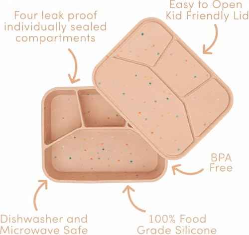 Kids Bento Box