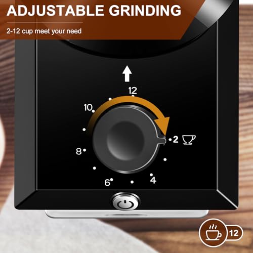 Electric Burr Coffee Grinder