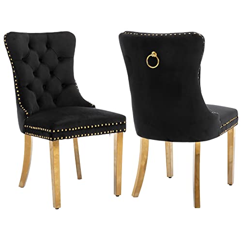 Black and Gold Velvet Dining Chairs Set of 2 (2 Count)