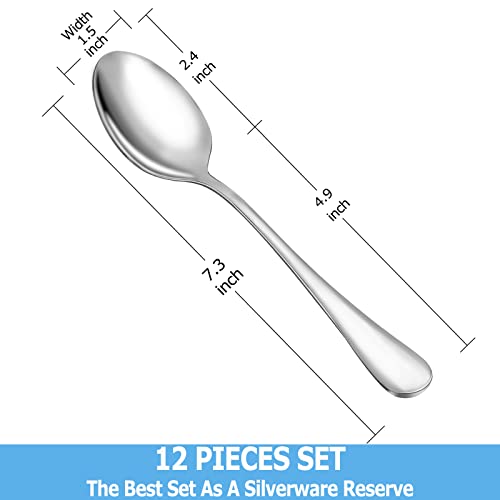 12 Pcs Dinner Spoon Set (12 Count)